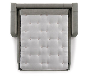 Art - Sofa Cum Bed